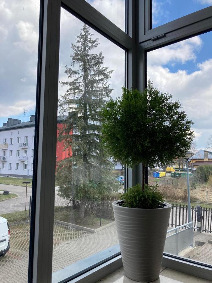 Apartament Miodowa 9 Звежинец Екстериор снимка